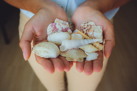 in human hands, women holding beautiful seashells, cone, starfishの写真素材