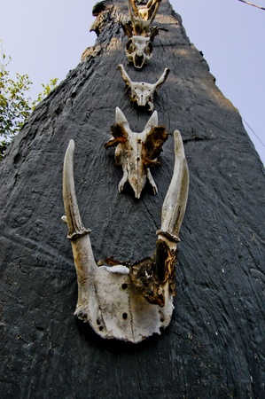 Horn on the pillar の写真素材