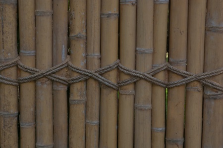 Bamboo wall yellow の写真素材