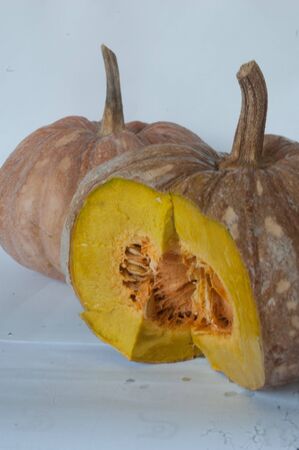 Pumpkin on a white background の写真素材