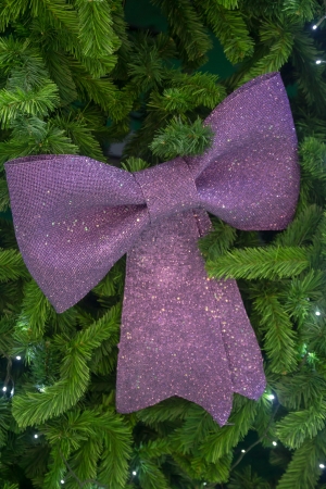 Purple bow の写真素材