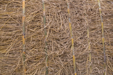 Straw texture background