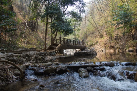 Waterfall in National Park in Thailand の写真素材