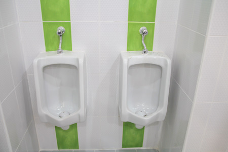 The sanitary, ware, bathroom, toilet, white, interior, modern, ceramic, design, urinal, hygiene, room, bowl, clean, urinate, water, restroom, background, urine, wall, sink, wood, luxury, nobody, hygienicの写真素材