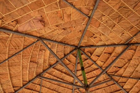 Naturre abstract background.Background images from natureの写真素材