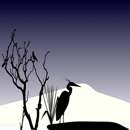 lonely stork in autumnのイラスト素材