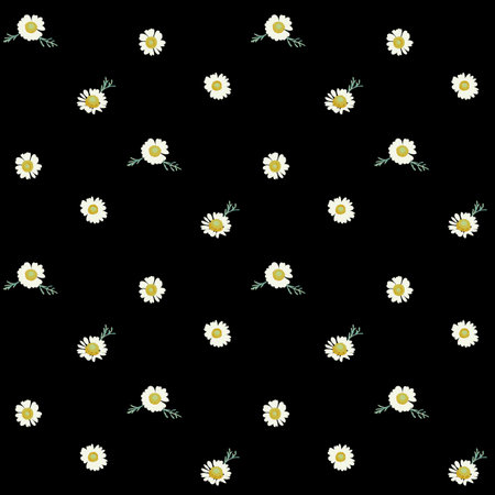 Chamomile florets on black backgroundのイラスト素材