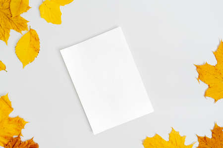Autumn composition flat lay. Comfortable fall and cozy autumn, lifestyle concept.の写真素材