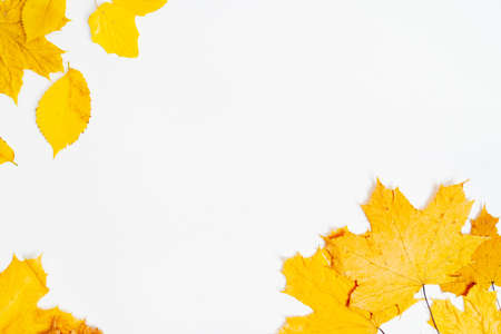 Autumn composition. Yellow dried leaves. Autumn, fall concept. Flat lay, top view, copy spaceの写真素材
