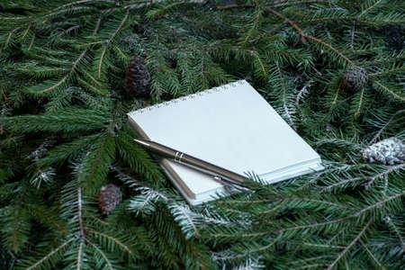 Blank notepad on christmas tree branches. New year planning concept.
