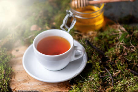 Close up of Cup of tea with lemon, ginger and honey on wood and moss in the forest. Concept of...