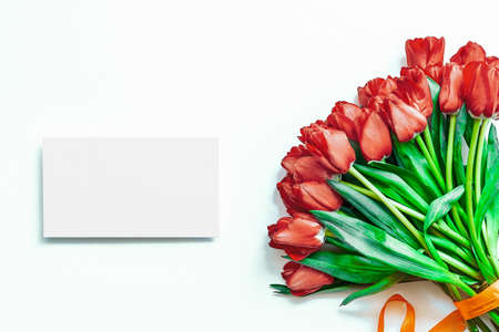 Flatlay of tulips and envelope on white background. Summer or spring time. International women day. Copy space. Empty space.の写真素材