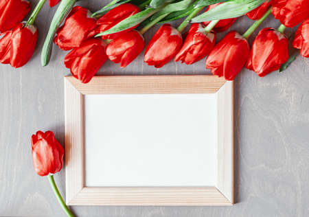 Flatlay of tulips and blank white photo frame on white background. Summer or spring time. International women day. Copy space. Empty space.の写真素材