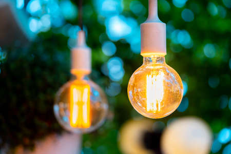 Electric bulb and hanged plant at evening time in garden. Cozy and comfortable place. Wedding party decorationの写真素材