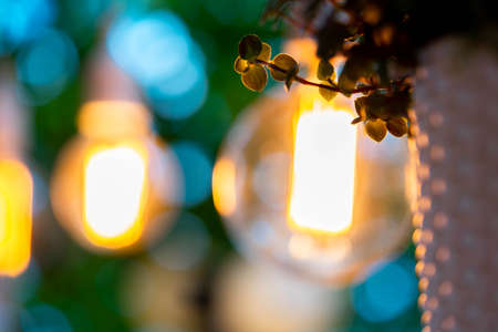 Electric bulb and hanged plant at evening time in garden. Cozy and comfortable place. Wedding party decorationの写真素材