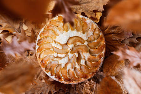 Freshly baked homemade apple pie on yellow autumn leaves background under leaf fall. Autumn traditional pie, dish.の写真素材