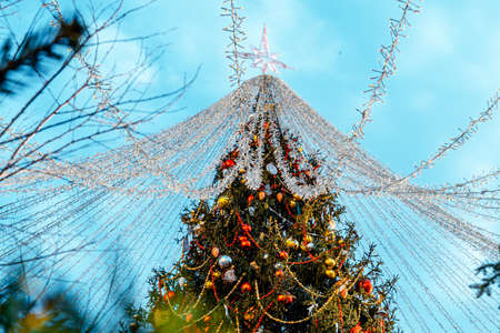 Abundantly Decorated Christmas Tree At Sunny Bright Winter Day Before New Year. Christmas European Fairの写真素材