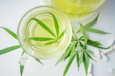 A hot drink made by infusing the fresh leaves of the marijuana leaf in boiling water. Beverage ganja in glass cup for drink. Concept alternative herbs for healing.の写真素材