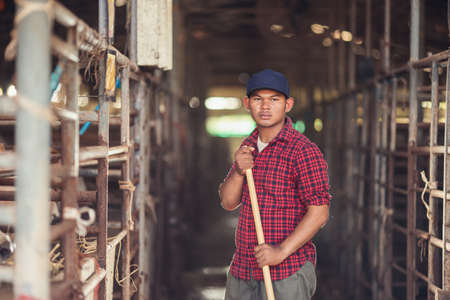 Portrait Asian man in the cowshed. Worker in cattle farm.の写真素材