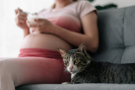 Kitty with a pregnant woman is resting on a couch, Pets can heal the stressness while pregnancy, pregnacy care, prenatal care.の写真素材