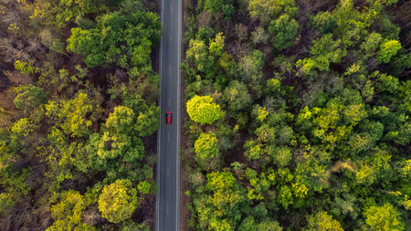 Aerial view green forest with road cutting through. Top view countryside path trough forest with car travel adventure.の写真素材