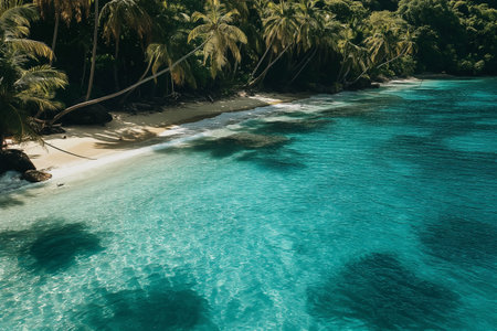 A picturesque travel destination with crystal-clear turquoise waters, golden sandy beaches, and palm trees swaying in the breeze. Captivating imagery for travel brochures, vacation advertisements, and destination websites.の素材