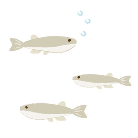 Mesaka's Illustrationsのイラスト素材