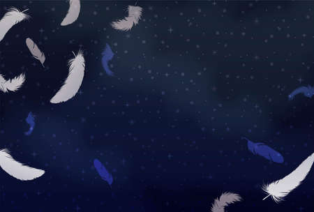 Background material of the starry sky and feathersのイラスト素材
