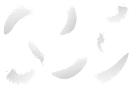 White feathers fallingのイラスト素材