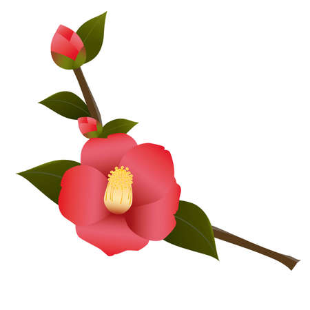 Red Rose Flowers 2のイラスト素材
