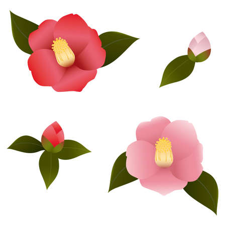 A set of rosesのイラスト素材