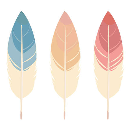 Colorful Feathersのイラスト素材