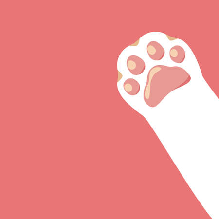 Cat pawのイラスト素材