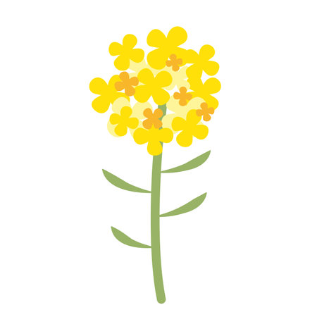 cute flower decorative icon vector illustration design graphic flat style yellow colorのイラスト素材