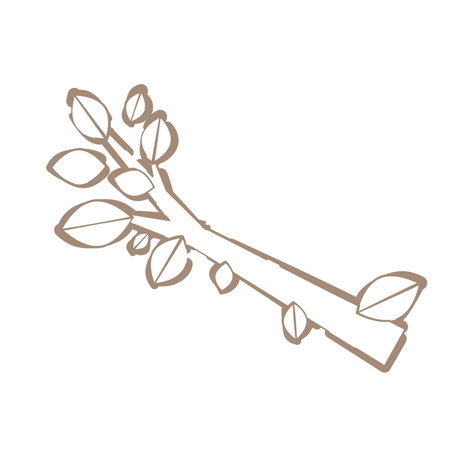 Tree branch 3 black and white line drawingのイラスト素材