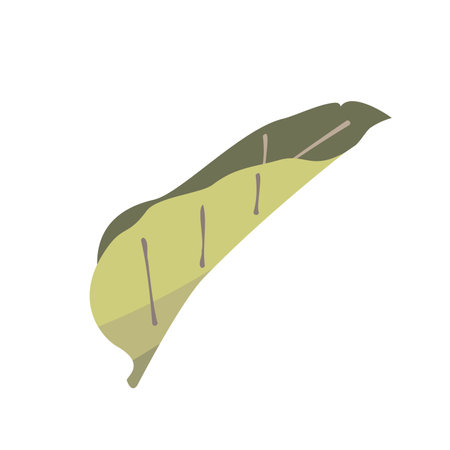 Illustration of a green leaf seen from the sideのイラスト素材