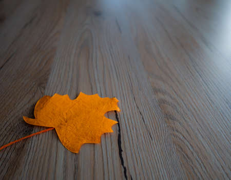 autumn leaves on wooden tableの写真素材