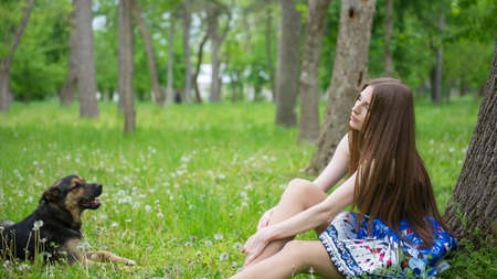girl resting on the grass with the dogの写真素材
