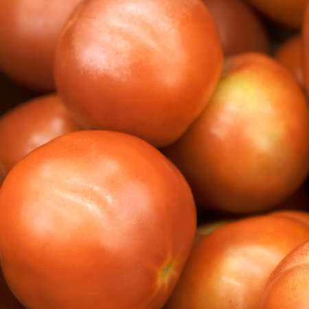 red fresh tomatoes sold on the counter in the storeの写真素材