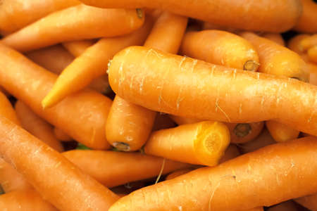 Golden fresh carrots for sale in the storeの写真素材