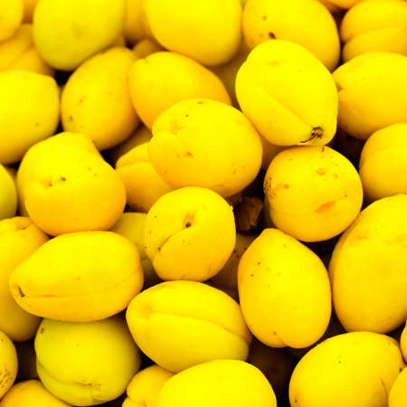 peaches lie on the counter in a mallの写真素材