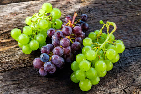 Grapes in a basket on a background of grape leaves in the sunlightの写真素材