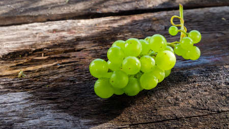 Grapes in a basket on a background of grape leaves in the sunlightの写真素材