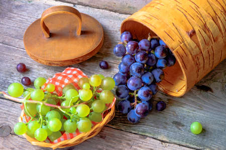 Beautiful green and blue grapes in a basket from the barkの写真素材