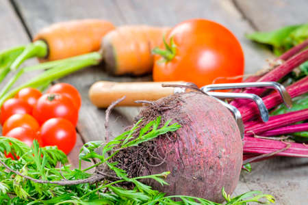 Harvest of fresh vegetables in a white box in the garden with facilities for garden