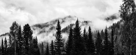 Beautiful Siberian landscape in the month of September in the area of teeth in high placesの写真素材