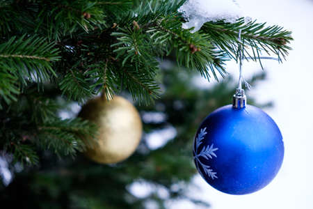 Christmas balls on a real Christmas tree in Siberia in Russia