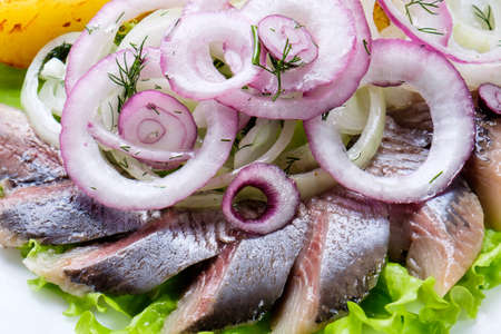 tasty dish in the restaurant of herring with onions and potatoes on a white plate.の写真素材