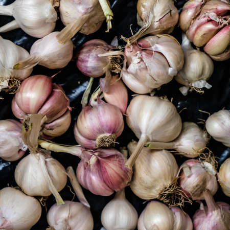 background garlic on a black bag under the light from the window.