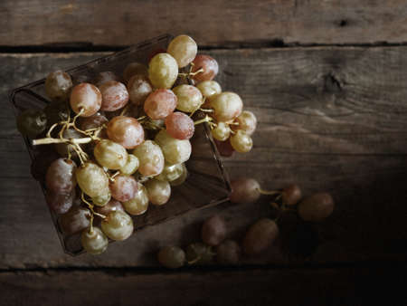 Delicious vintage grapes taken from a tree with the light from the window.の写真素材